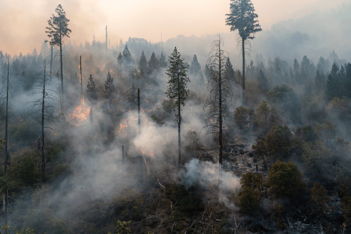 Caldor Fire, CA