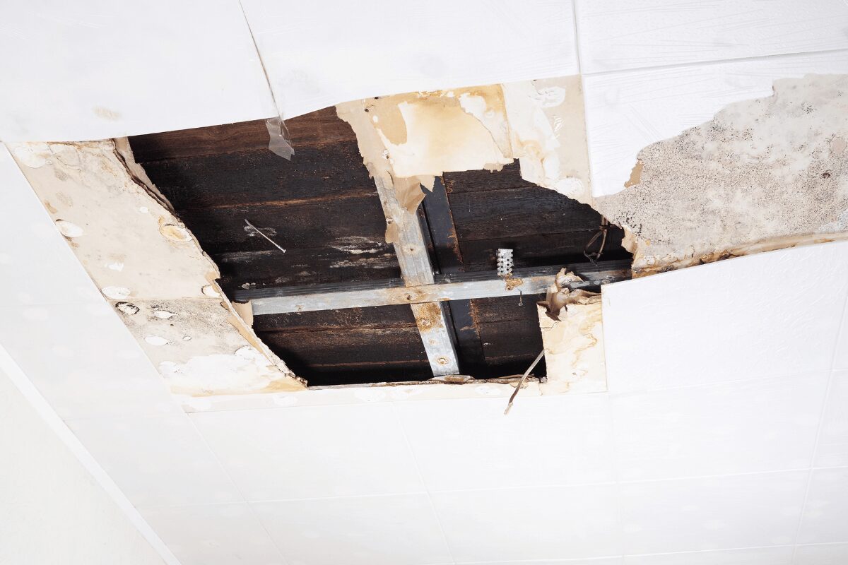 Water-damaged ceiling with broken panels, brown staining and exposed wood and metal supports.